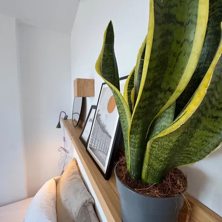 公寓 Rincon Del Mar 塔科龙特